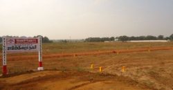 Sai Vikashini Nagar | Thanjavur