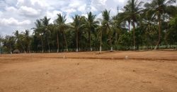 Mahalakshmi Nagar – Thanjavur