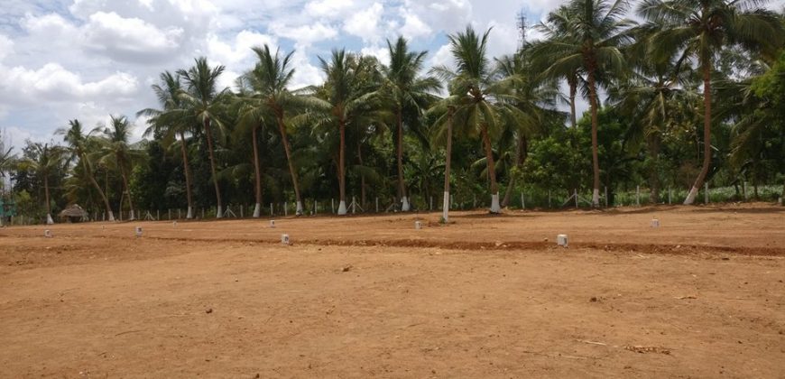 Mahalakshmi Nagar – Thanjavur