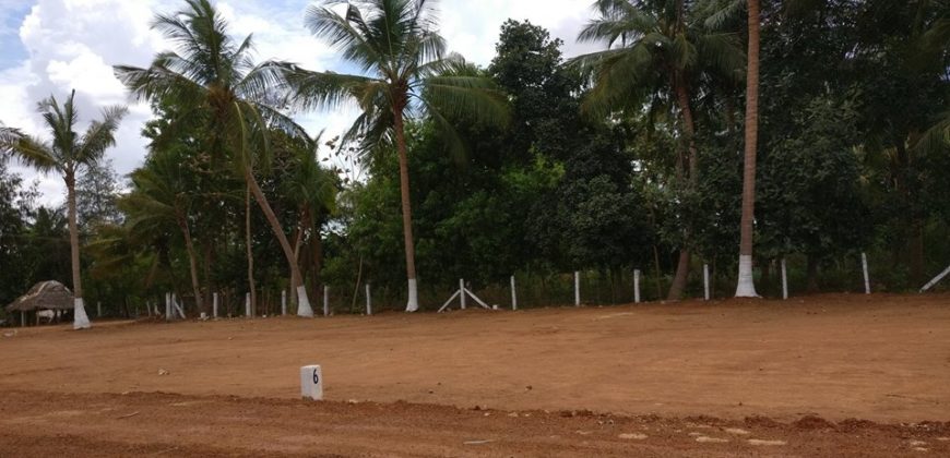 Mahalakshmi Nagar – Thanjavur