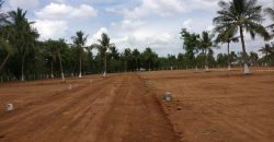 Mahalakshmi Nagar – Thanjavur