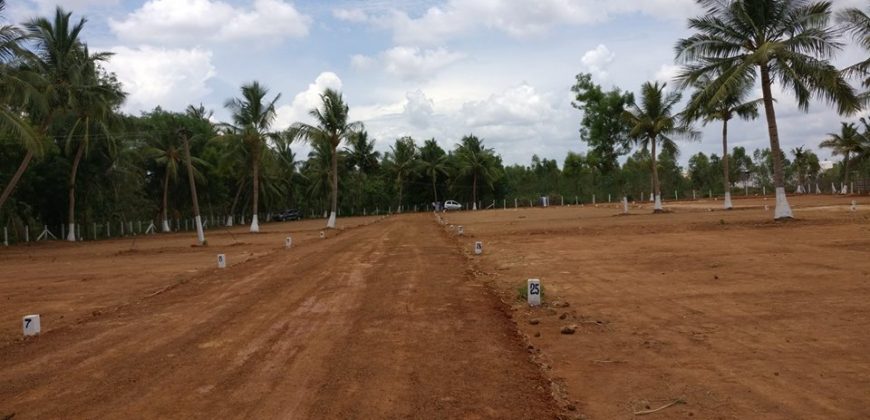 Mahalakshmi Nagar – Thanjavur